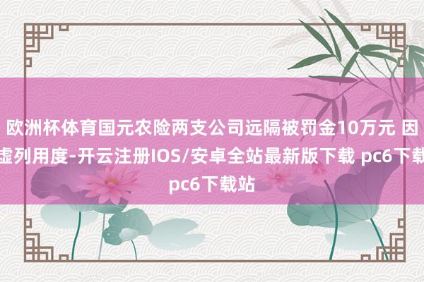 欧洲杯体育国元农险两支公司远隔被罚金10万元 因因虚列用度-开云注册IOS/安卓全站最新版下载 pc6下载站