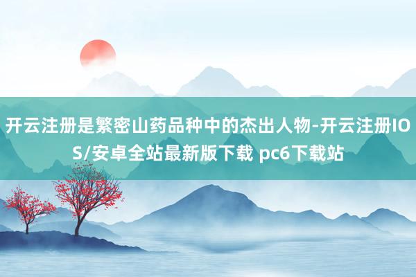 开云注册是繁密山药品种中的杰出人物-开云注册IOS/安卓全站最新版下载 pc6下载站