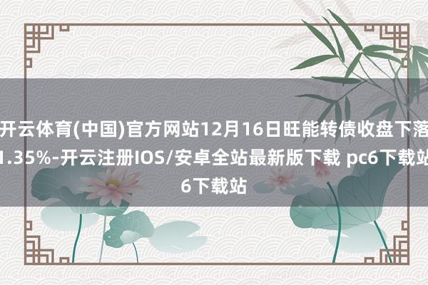 开云体育(中国)官方网站12月16日旺能转债收盘下落1.35%-开云注册IOS/安卓全站最新版下载 pc6下载站