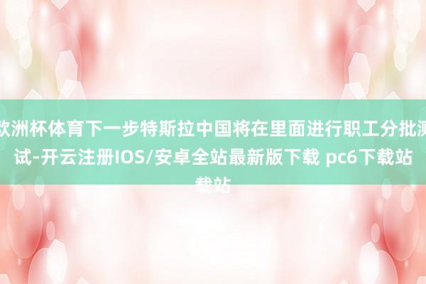 欧洲杯体育下一步特斯拉中国将在里面进行职工分批测试-开云注册IOS/安卓全站最新版下载 pc6下载站