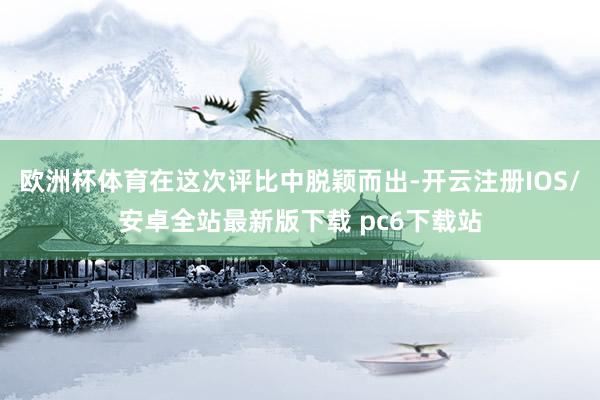 欧洲杯体育在这次评比中脱颖而出-开云注册IOS/安卓全站最新版下载 pc6下载站
