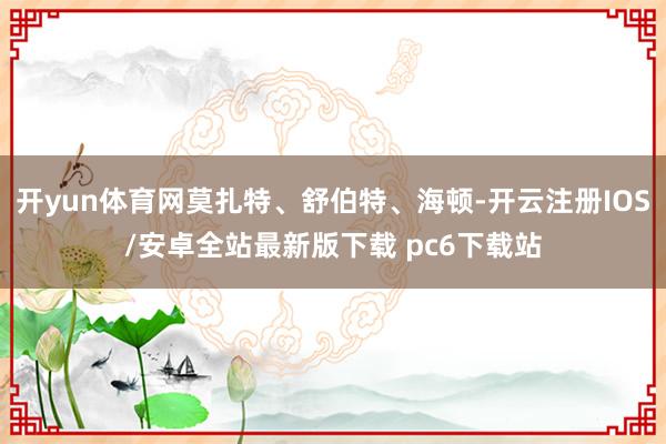 开yun体育网莫扎特、舒伯特、海顿-开云注册IOS/安卓全站最新版下载 pc6下载站