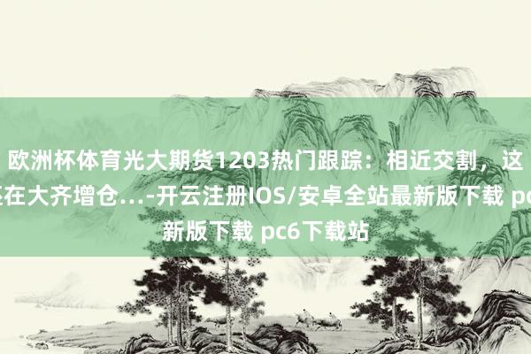 欧洲杯体育光大期货1203热门跟踪：相近交割，这个品种还在大齐增仓…-开云注册IOS/安卓全站最新版下载 pc6下载站