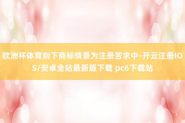 欧洲杯体育刻下商标情景为注册苦求中-开云注册IOS/安卓全站最新版下载 pc6下载站