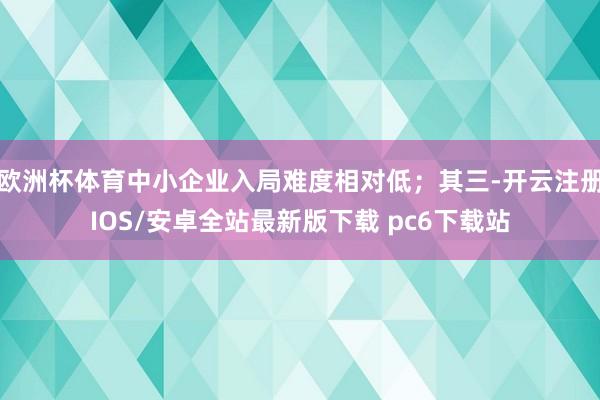 欧洲杯体育中小企业入局难度相对低；其三-开云注册IOS/安卓全站最新版下载 pc6下载站