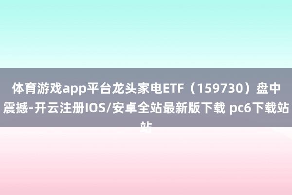 体育游戏app平台龙头家电ETF（159730）盘中震撼-开云注册IOS/安卓全站最新版下载 pc6下载站