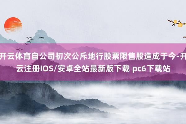 开云体育自公司初次公斥地行股票限售股造成于今-开云注册IOS/安卓全站最新版下载 pc6下载站