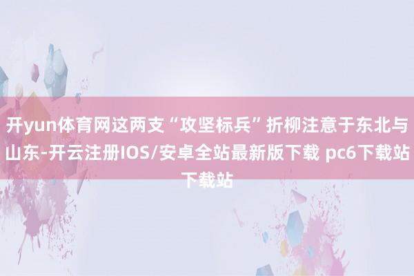 开yun体育网这两支“攻坚标兵”折柳注意于东北与山东-开云注册IOS/安卓全站最新版下载 pc6下载站