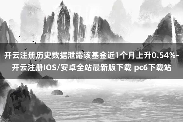 开云注册历史数据泄露该基金近1个月上升0.54%-开云注册IOS/安卓全站最新版下载 pc6下载站