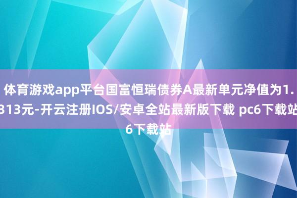 体育游戏app平台国富恒瑞债券A最新单元净值为1.313元-开云注册IOS/安卓全站最新版下载 pc6下载站
