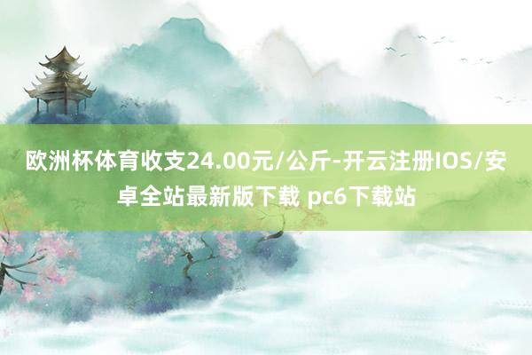 欧洲杯体育收支24.00元/公斤-开云注册IOS/安卓全站最新版下载 pc6下载站