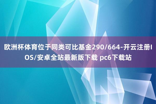 欧洲杯体育位于同类可比基金290/664-开云注册IOS/安卓全站最新版下载 pc6下载站