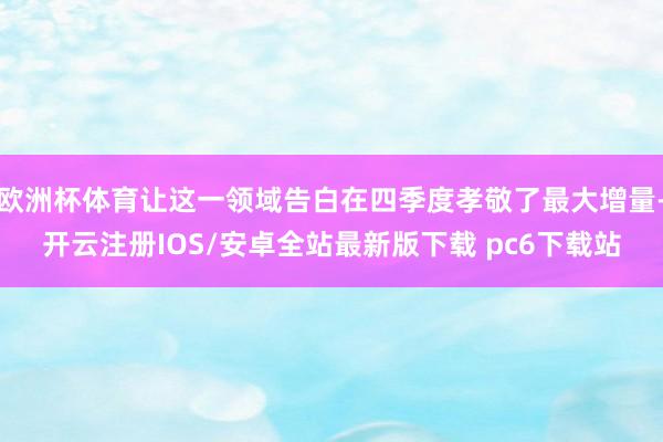 欧洲杯体育让这一领域告白在四季度孝敬了最大增量-开云注册IOS/安卓全站最新版下载 pc6下载站