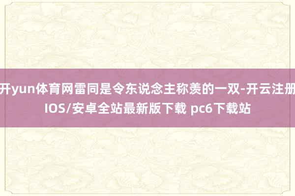 开yun体育网雷同是令东说念主称羡的一双-开云注册IOS/安卓全站最新版下载 pc6下载站