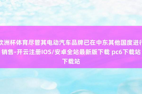 欧洲杯体育尽管其电动汽车品牌已在中东其他国度进行销售-开云注册IOS/安卓全站最新版下载 pc6下载站