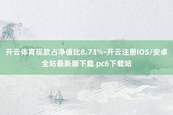 开云体育现款占净值比8.73%-开云注册IOS/安卓全站最新版下载 pc6下载站