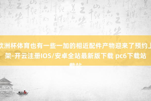 欧洲杯体育也有一些一加的相近配件产物迎来了预约上架-开云注册IOS/安卓全站最新版下载 pc6下载站