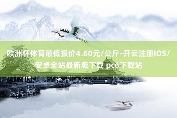 欧洲杯体育最低报价4.60元/公斤-开云注册IOS/安卓全站最新版下载 pc6下载站
