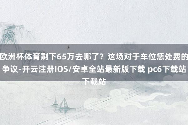 欧洲杯体育剩下65万去哪了？这场对于车位惩处费的争议-开云注册IOS/安卓全站最新版下载 pc6下载站