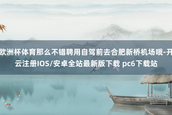 欧洲杯体育那么不错聘用自驾前去合肥新桥机场哦-开云注册IOS/安卓全站最新版下载 pc6下载站