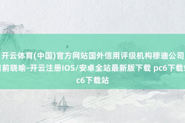开云体育(中国)官方网站国外信用评级机构穆迪公司日前晓喻-开云注册IOS/安卓全站最新版下载 pc6下载站