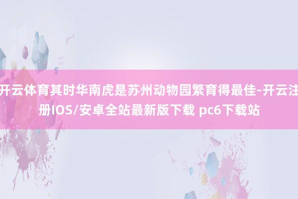 开云体育其时华南虎是苏州动物园繁育得最佳-开云注册IOS/安卓全站最新版下载 pc6下载站