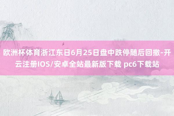 欧洲杯体育浙江东日6月25日盘中跌停随后回撤-开云注册IOS/安卓全站最新版下载 pc6下载站