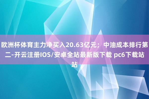 欧洲杯体育主力净买入20.63亿元；中油成本排行第二-开云注册IOS/安卓全站最新版下载 pc6下载站