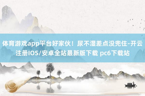 体育游戏app平台好家伙！尿不湿差点没兜住-开云注册IOS/安卓全站最新版下载 pc6下载站