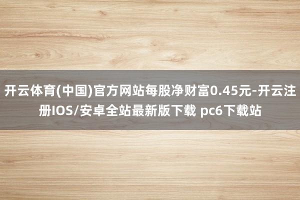 开云体育(中国)官方网站每股净财富0.45元-开云注册IOS/安卓全站最新版下载 pc6下载站