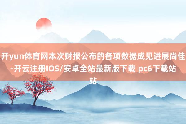 开yun体育网本次财报公布的各项数据成见进展尚佳-开云注册IOS/安卓全站最新版下载 pc6下载站