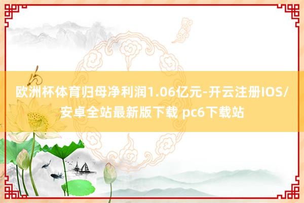 欧洲杯体育归母净利润1.06亿元-开云注册IOS/安卓全站最新版下载 pc6下载站